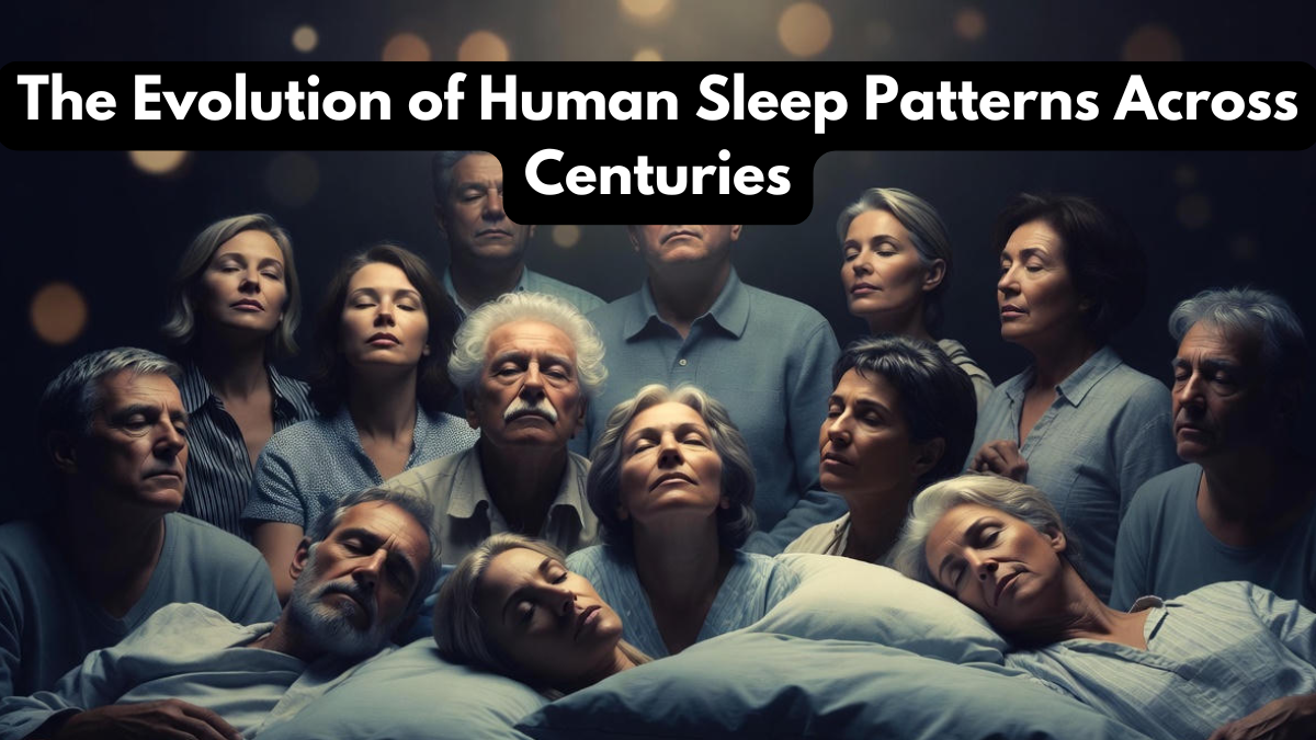 The Evolution of Human Sleep Patterns Across Centuries
